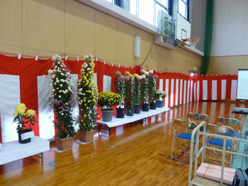 111113-011.JPG