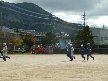 121109-008.JPG