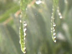 水滴004