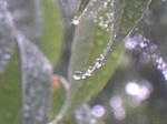 水滴005