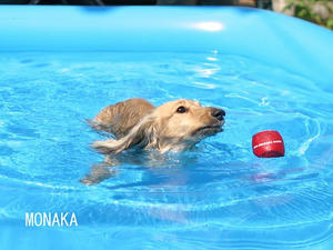 070826-1_s.jpg
