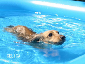 070826-2_s.jpg