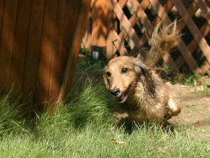070907-1_s.jpg