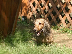 070907-2_s.jpg