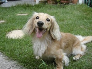 070909-2_s.jpg