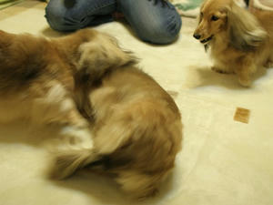 071111-3_s.jpg