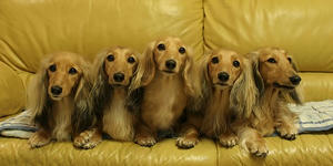 071111-6_s.jpg