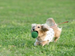 071125-2_s.jpg