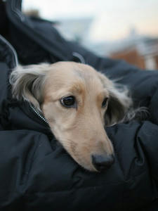 080120-1_s.jpg
