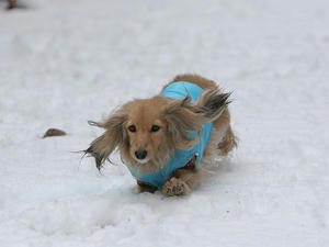 080203-5_s.jpg