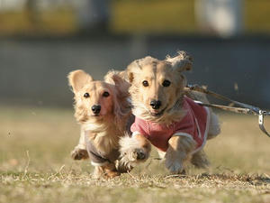 080220-2_s.jpg