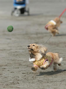 080227-2_s.jpg