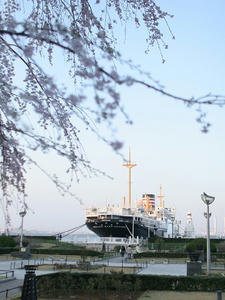 080326-2_s.jpg