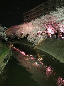 080329-4_s.jpg