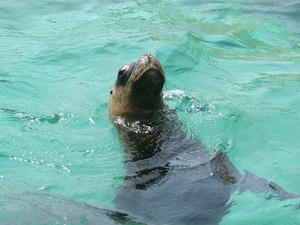 080507-2_s.jpg