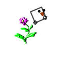 snap_florva_20087291323.jpg