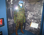 IMG_0345.jpg