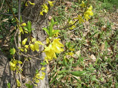 IMGP0239.JPG