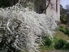 IMGP0236.JPG