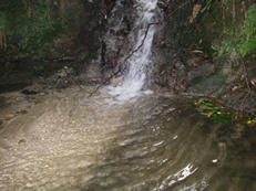 beee5680.jpg
