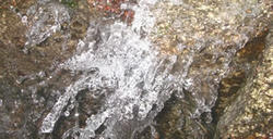 2f3ae016.jpg