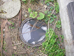 戸建汚水枡