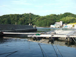 DSCF2424.JPG