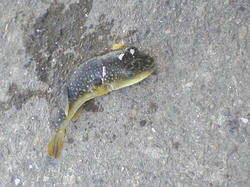 SA3A0160.jpg