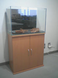 SA3A0266.JPG