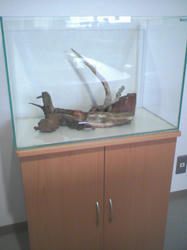 SA3A0488.JPG
