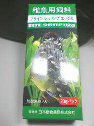 SA3A0527.JPG