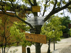 IMGP1211.jpg
