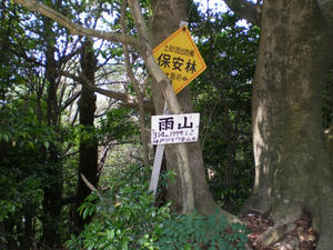 IMGP1596.jpg