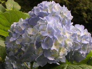 DSCN0778.JPG