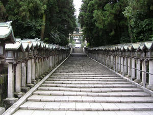 DSCN0779.JPG