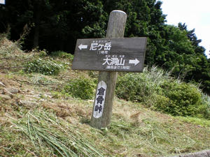 IMGP1690.jpg