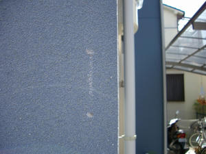 IMGP0026.jpg