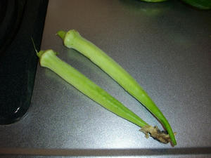 IMGP0282.jpg