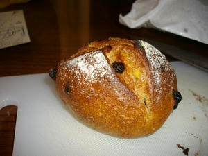 IMGP0284.jpg