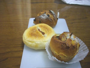 IMGP0299.jpg