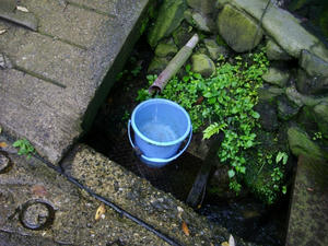IMGP0398.jpg