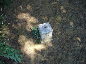 IMGP0414.jpg