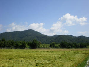 IMGP2004.jpg