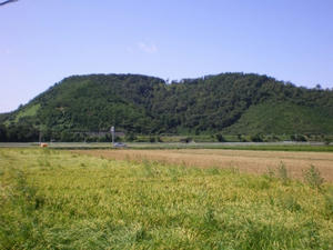 IMGP2009.jpg