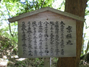 IMGP2037.jpg