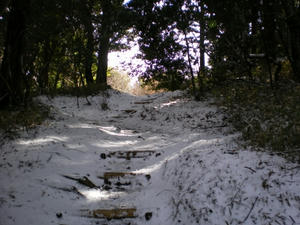 IMGP0071.jpg