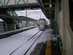 IMGP0144.JPG