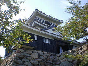 IMGP1361.jpg