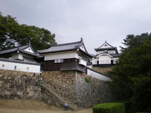 IMGP1417.jpg