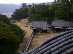 IMGP1423.jpg